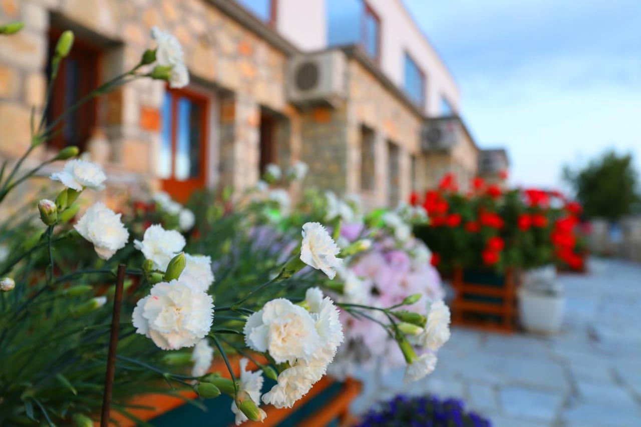 Vila Dena Vlore Ngoại thất bức ảnh