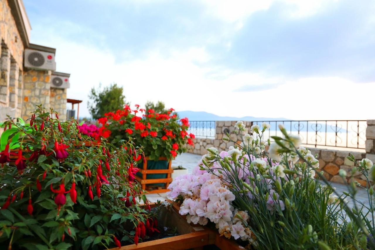 Vila Dena Vlore Ngoại thất bức ảnh