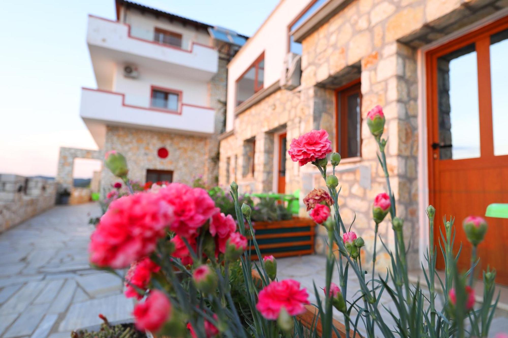 Vila Dena Vlore Ngoại thất bức ảnh