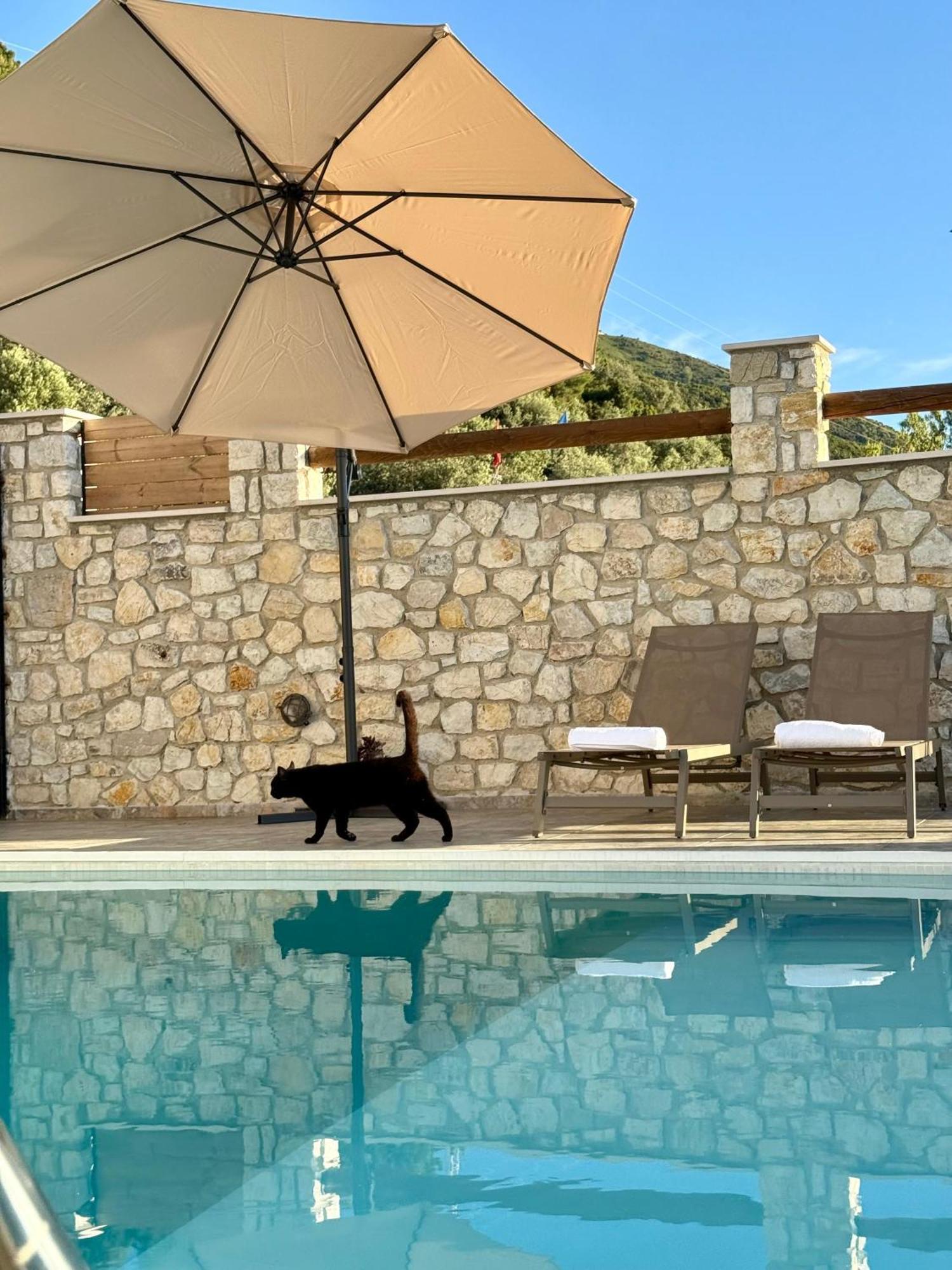 Vila Dena Vlore Ngoại thất bức ảnh